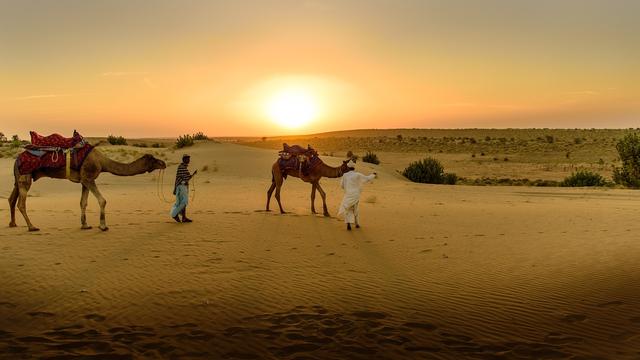 تجربة ركوب الجمال على شواطئ البحر الأحمر